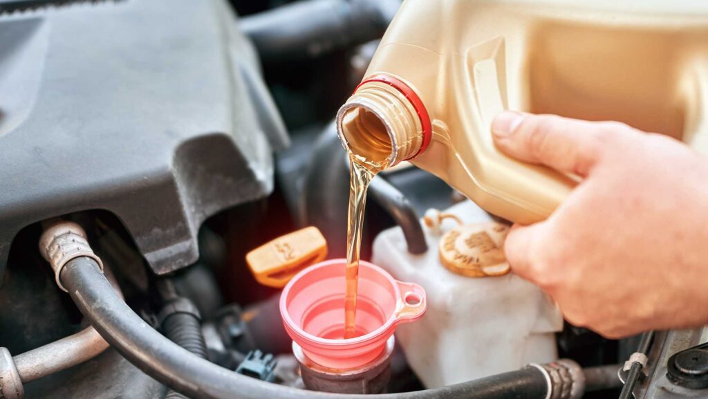 Synthetic vs. conventional oil for Honda this fall